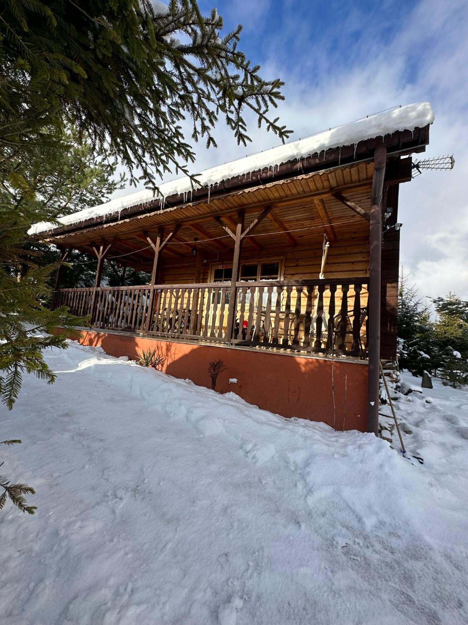 Urocza Chata Z Sauna W Bieszczadzkim Parku Krajobrazowym بوكوفييتس المظهر الخارجي الصورة